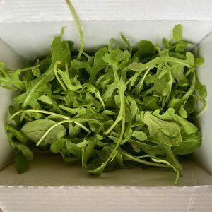 Rocket Salad