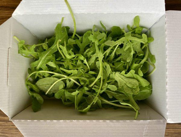 Rocket Salad